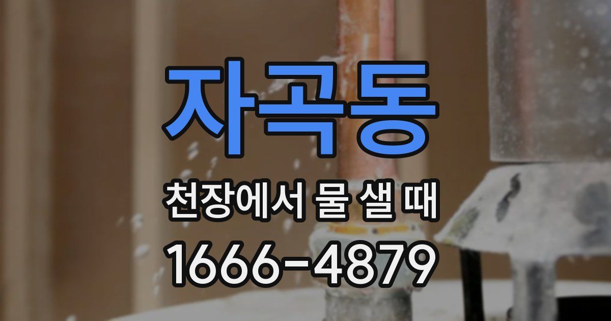 자곡동 천장에서 물 샐 때