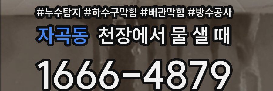 자곡동 천장에서 물 샐 때