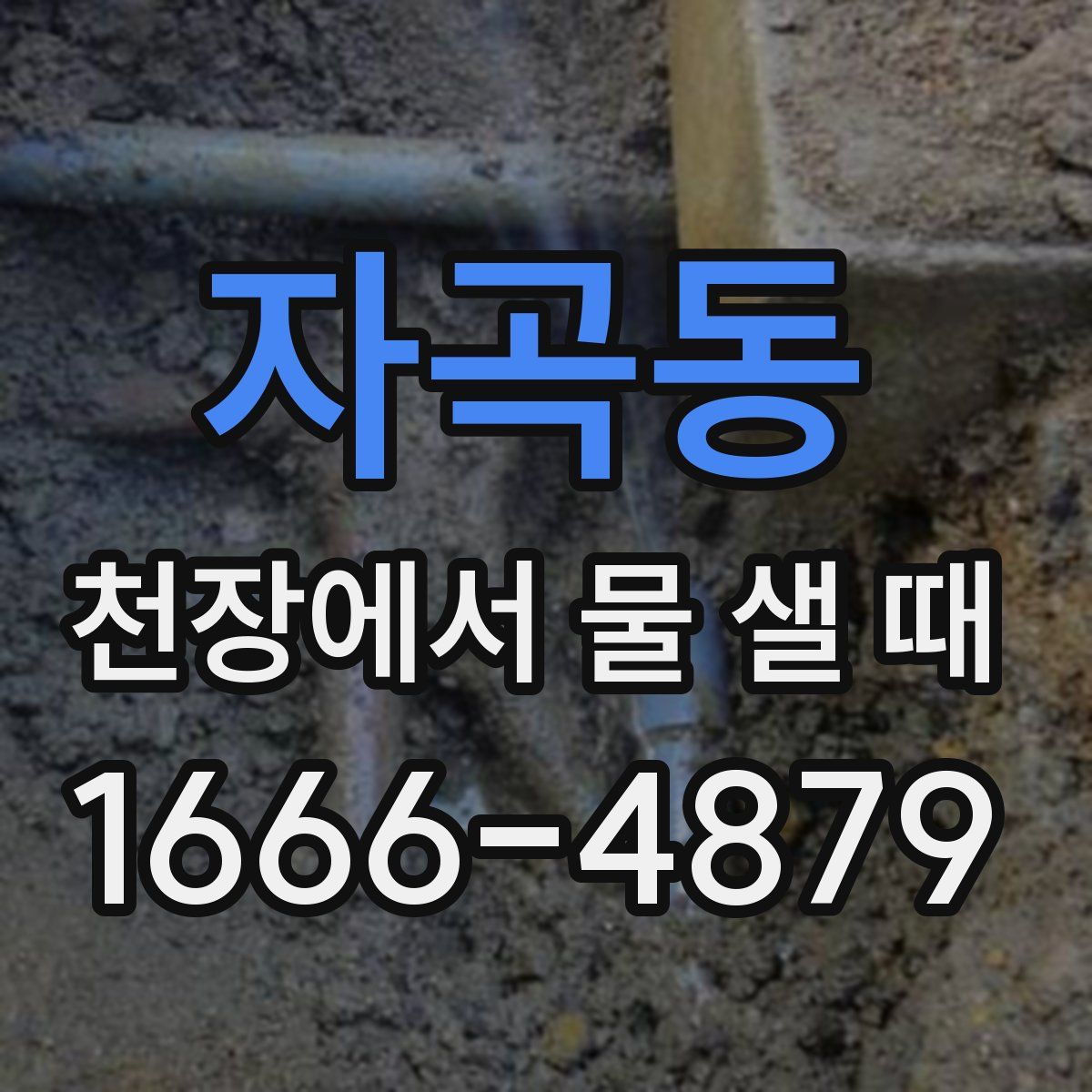 자곡동 천장에서 물 샐 때