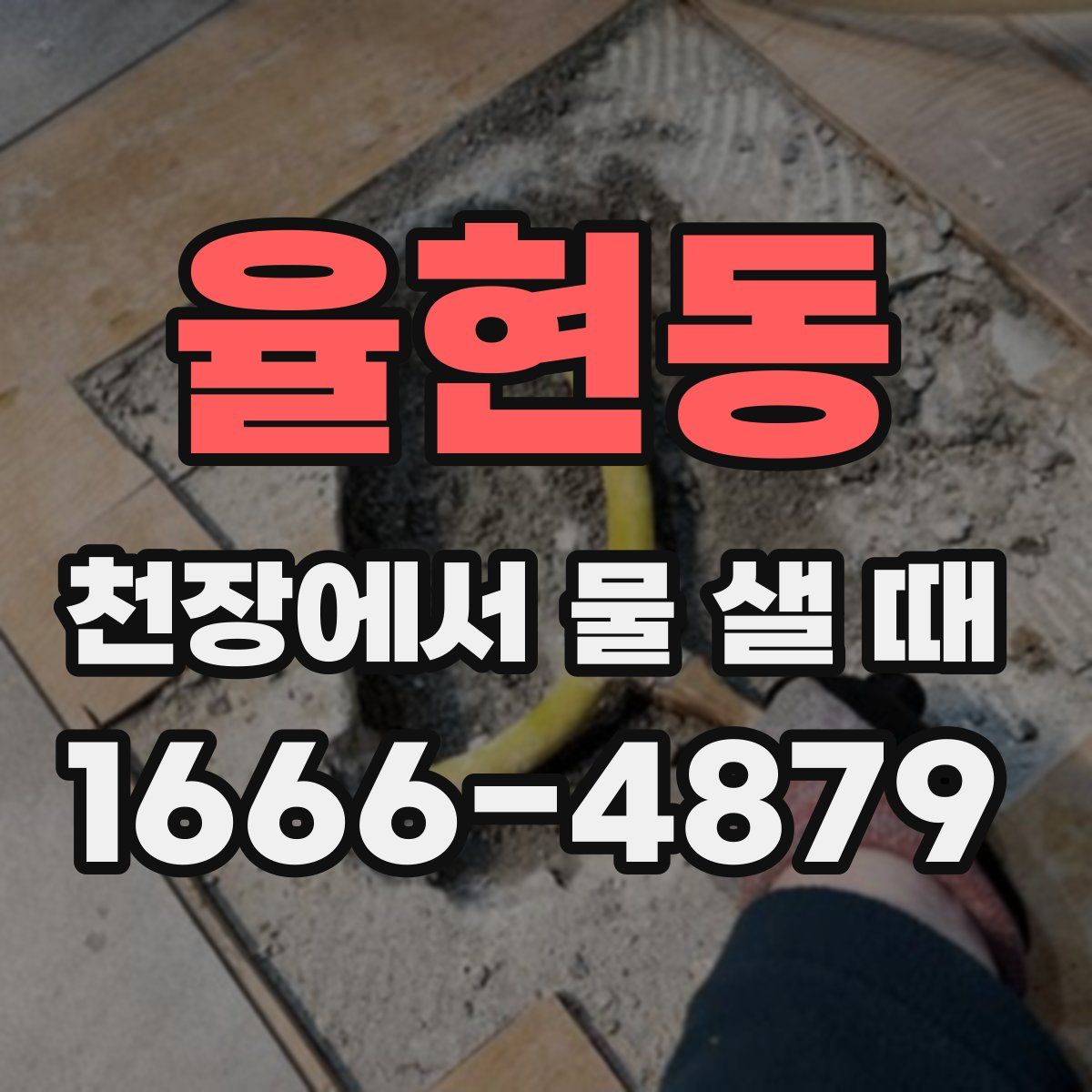 율현동 천장에서 물 샐 때