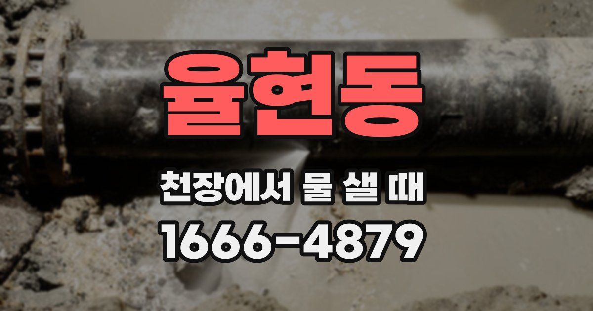 율현동 천장에서 물 샐 때