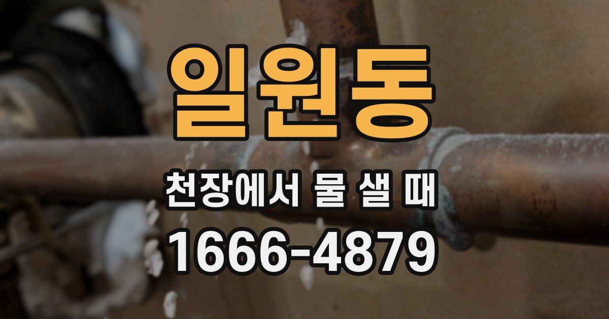 일원동 천장에서 물 샐 때