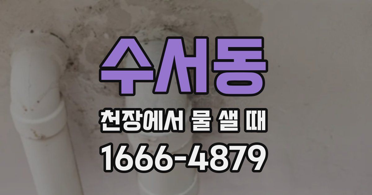 수서동 천장에서 물 샐 때