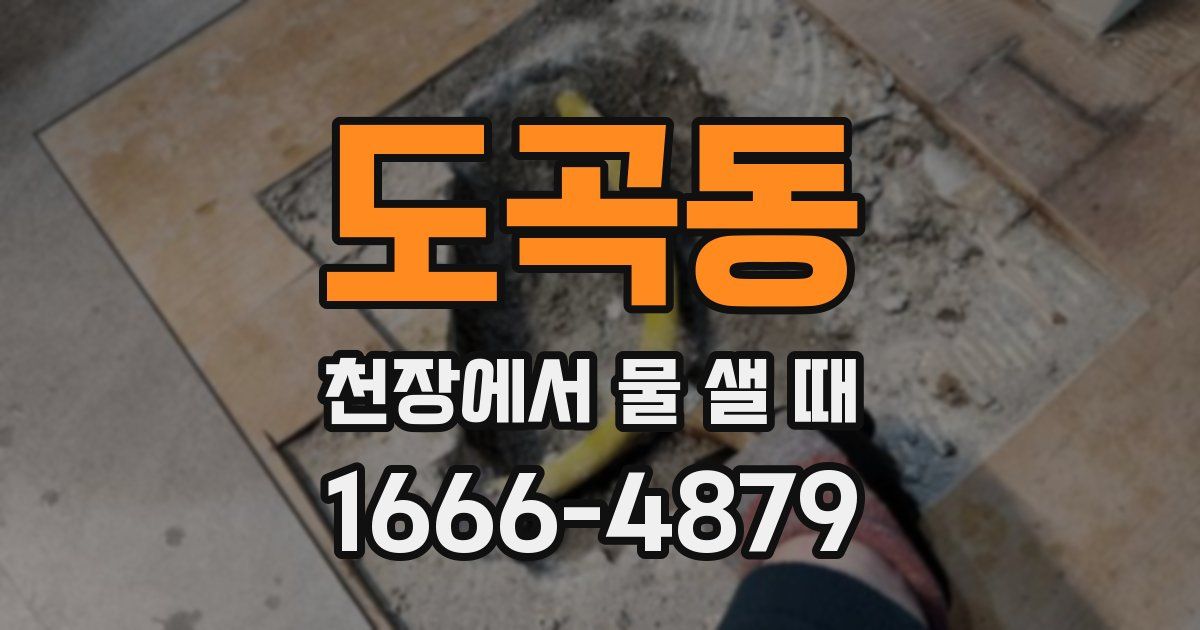 도곡동 천장에서 물 샐 때