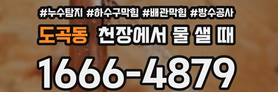 도곡동 천장에서 물 샐 때