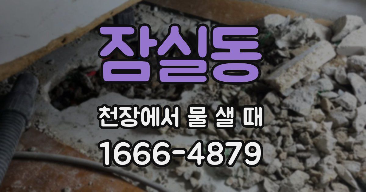 잠실동 천장에서 물 샐 때