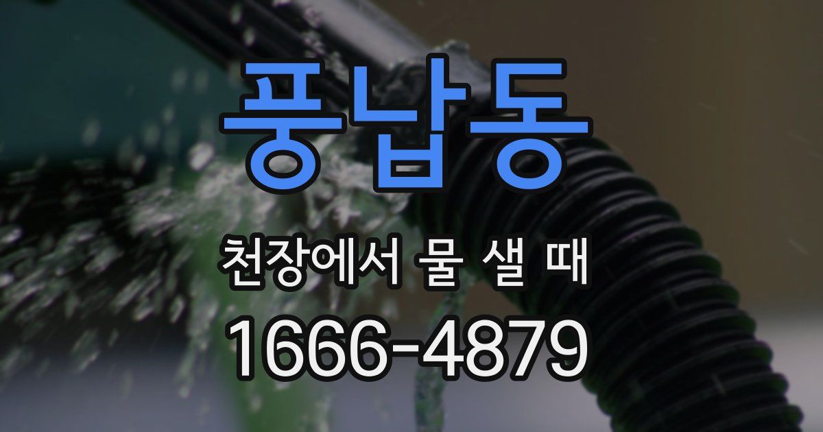 풍납동 천장에서 물 샐 때