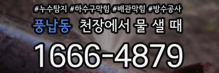 풍납동 천장에서 물 샐 때