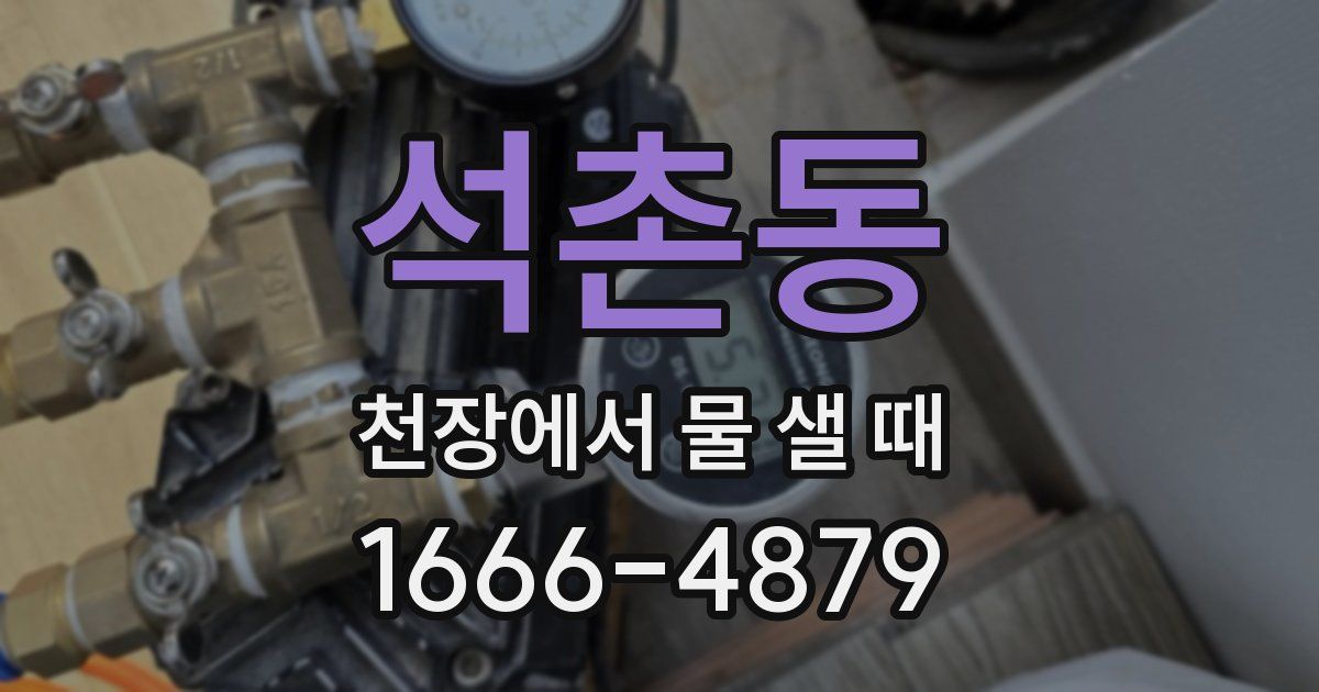 석촌동 천장에서 물 샐 때