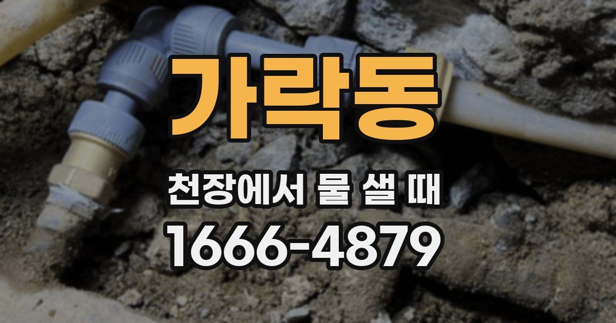 가락동 천장에서 물 샐 때