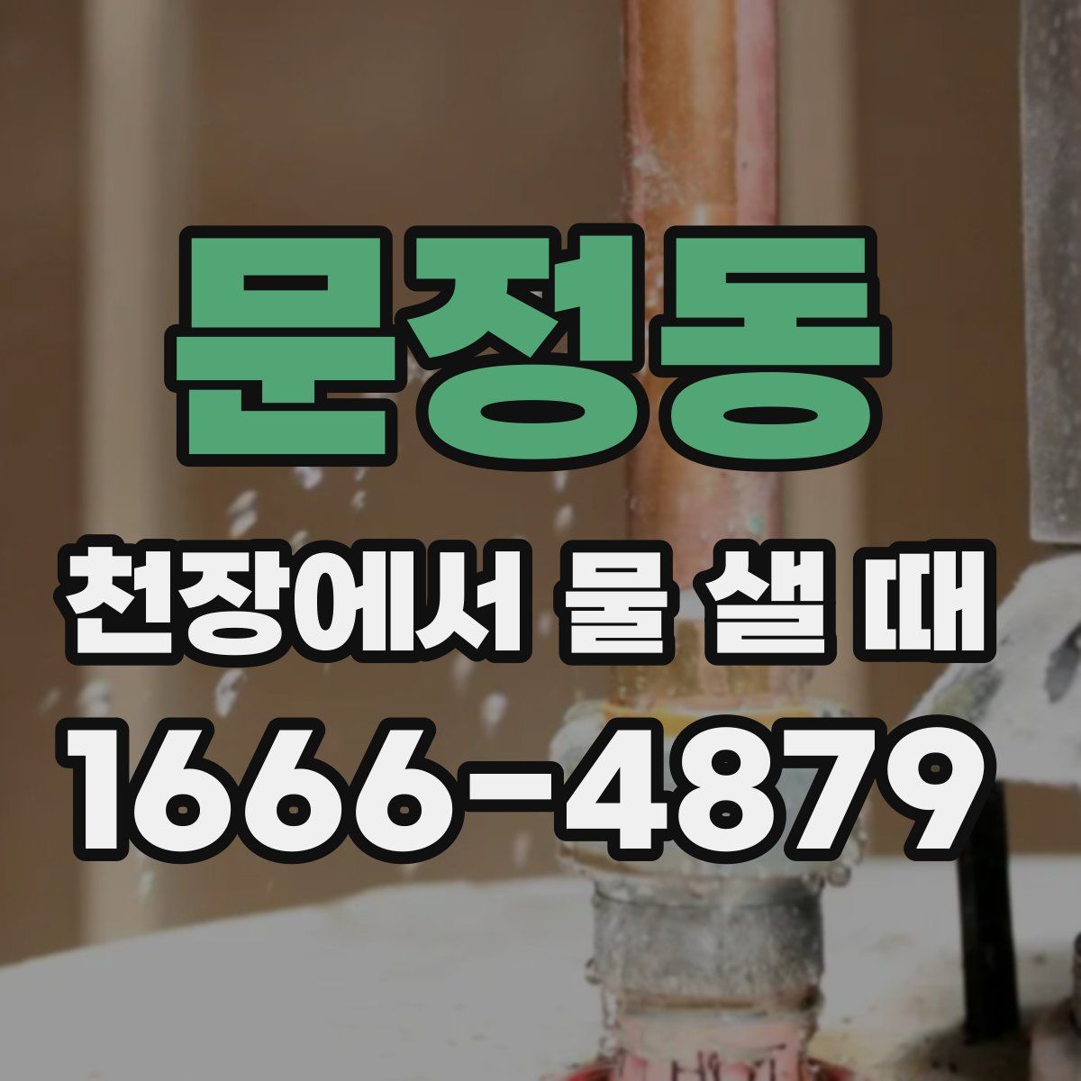 문정동 천장에서 물 샐 때