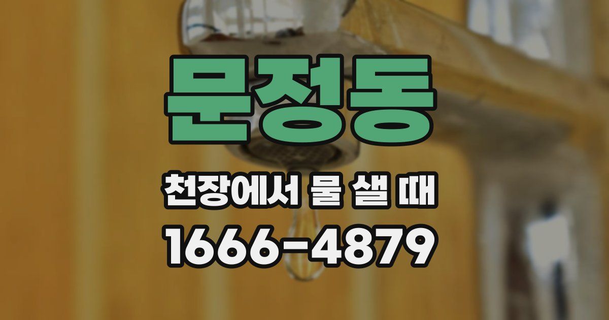 문정동 천장에서 물 샐 때