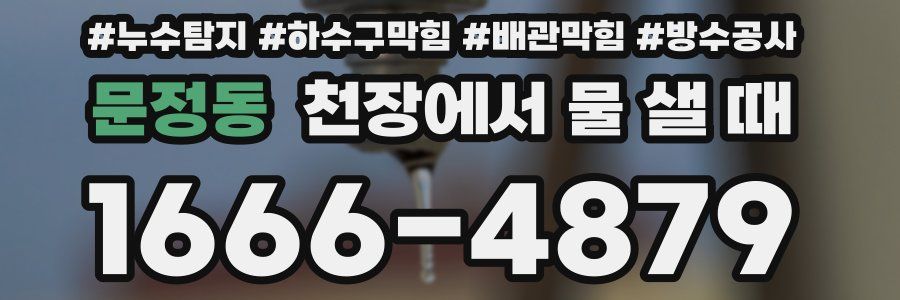 문정동 천장에서 물 샐 때