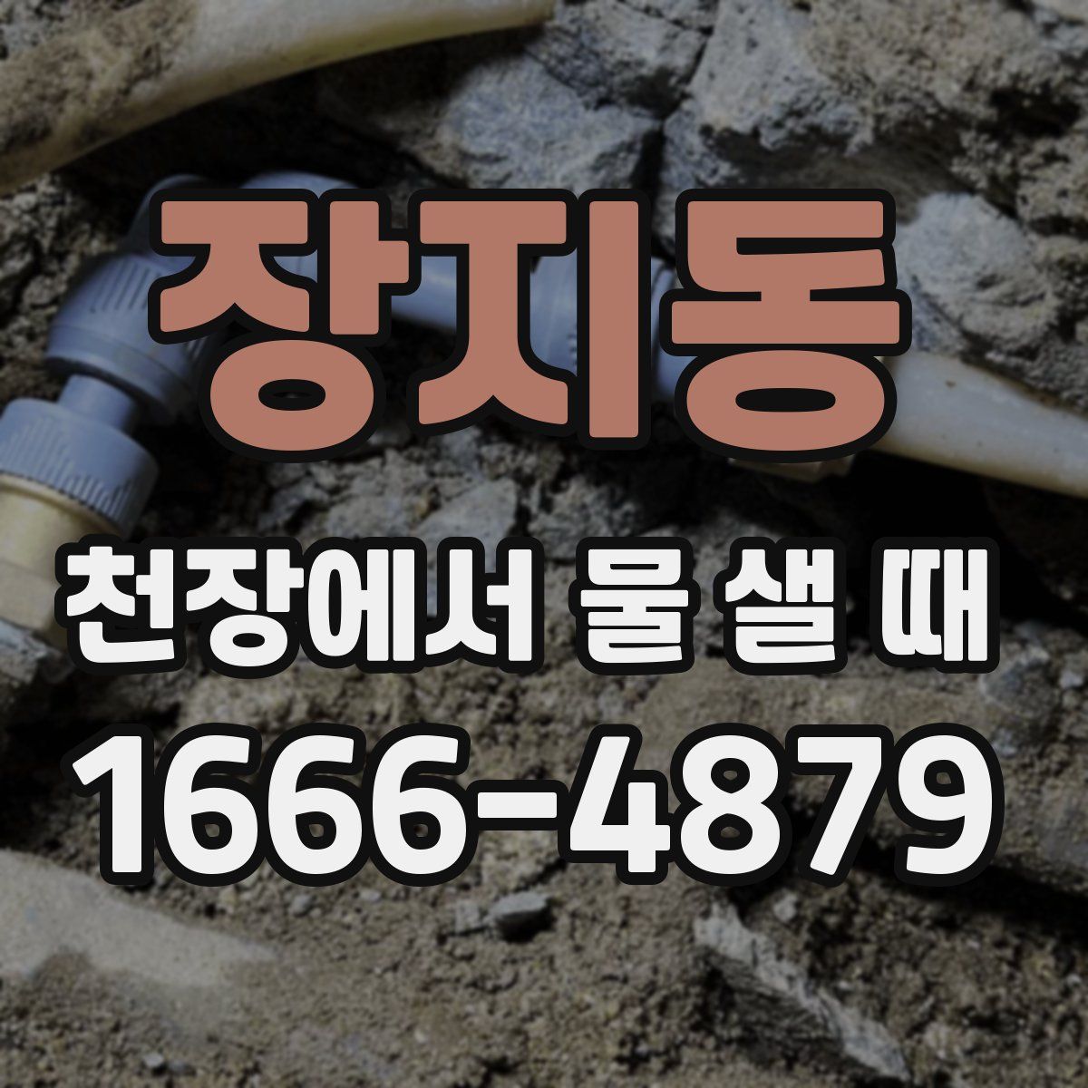 장지동 천장에서 물 샐 때