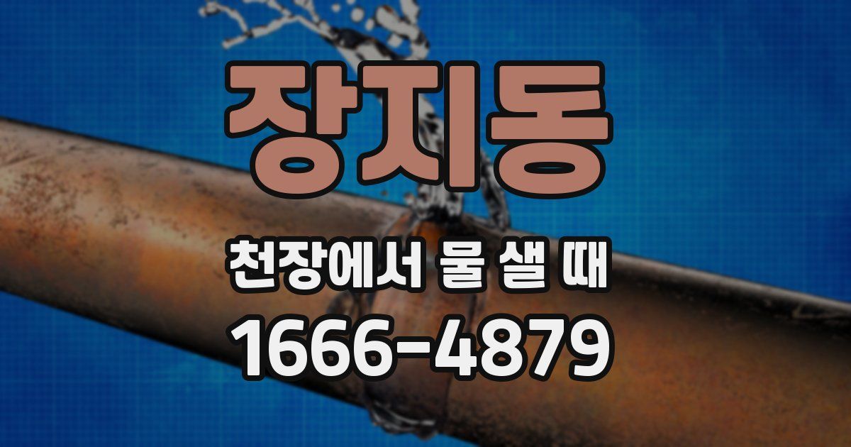 장지동 천장에서 물 샐 때