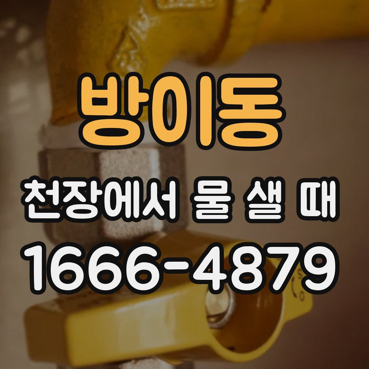 방이동 천장에서 물 샐 때