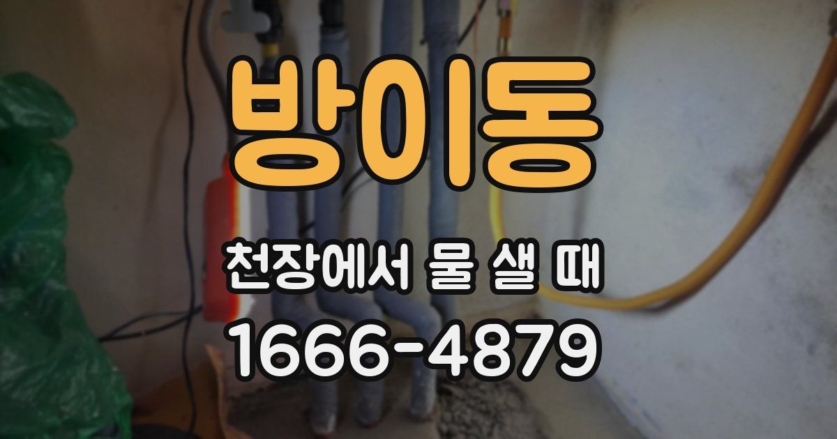 방이동 천장에서 물 샐 때
