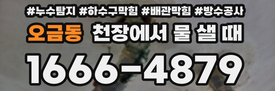 오금동 천장에서 물 샐 때