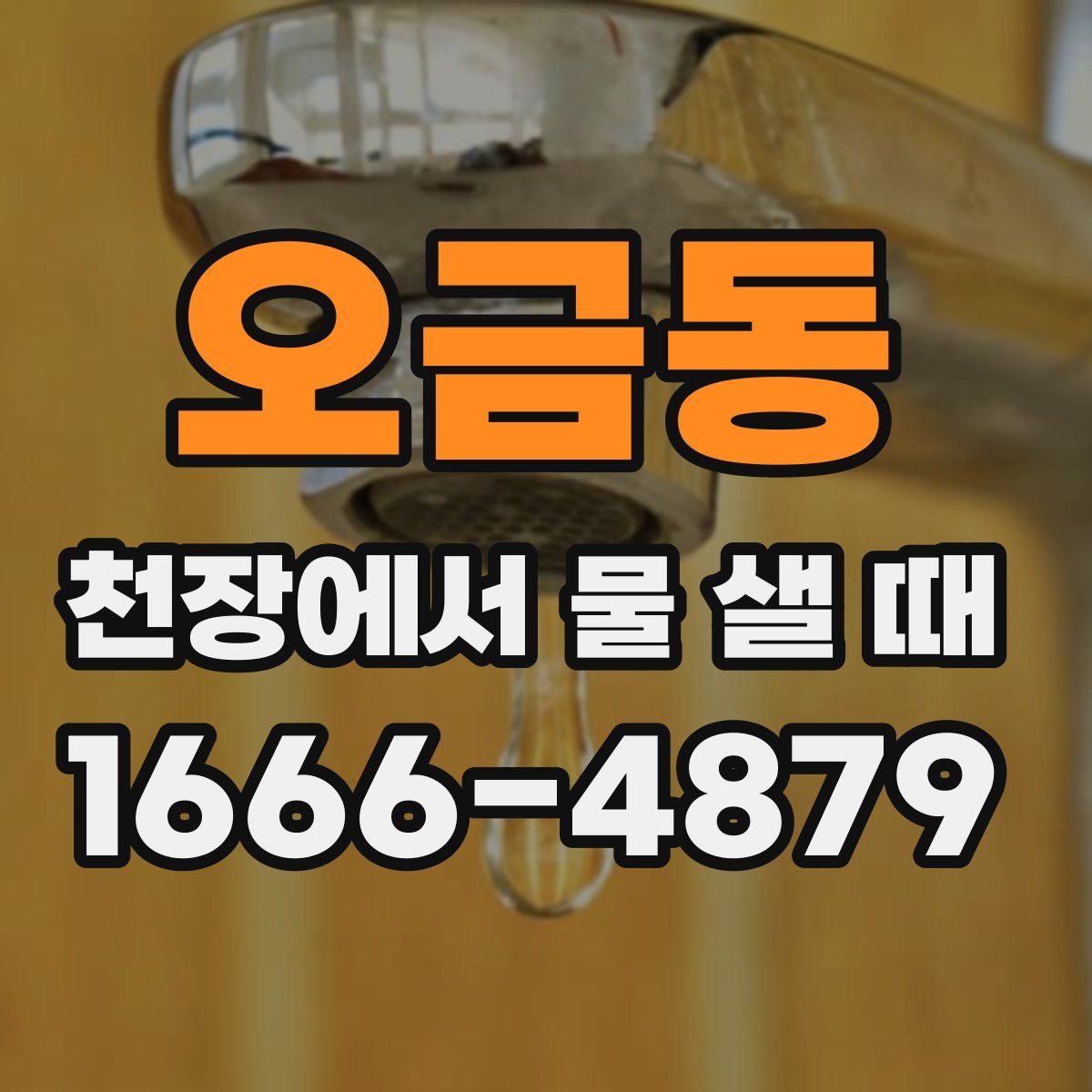 오금동 천장에서 물 샐 때