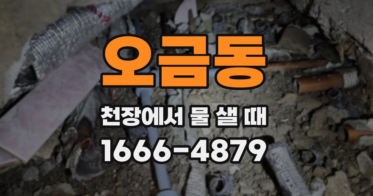 오금동 천장에서 물 샐 때