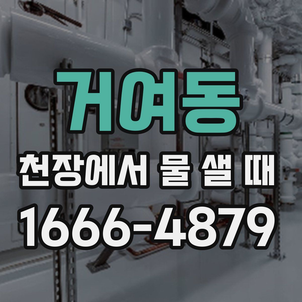거여동 천장에서 물 샐 때