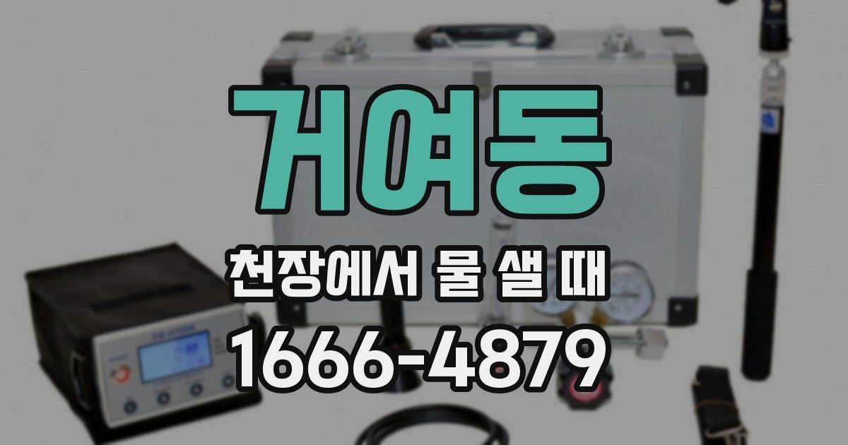 거여동 천장에서 물 샐 때