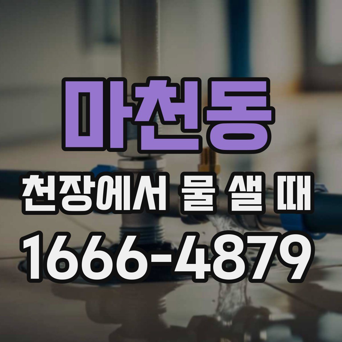 마천동 천장에서 물 샐 때