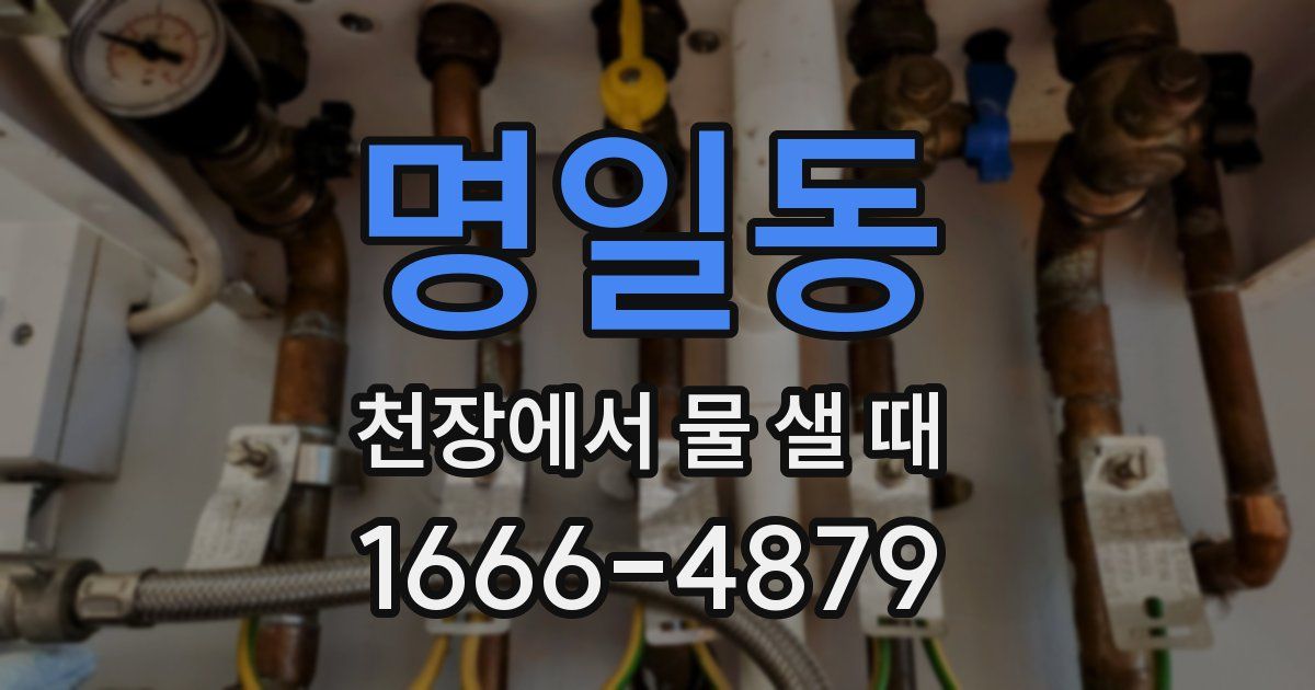 명일동 천장에서 물 샐 때