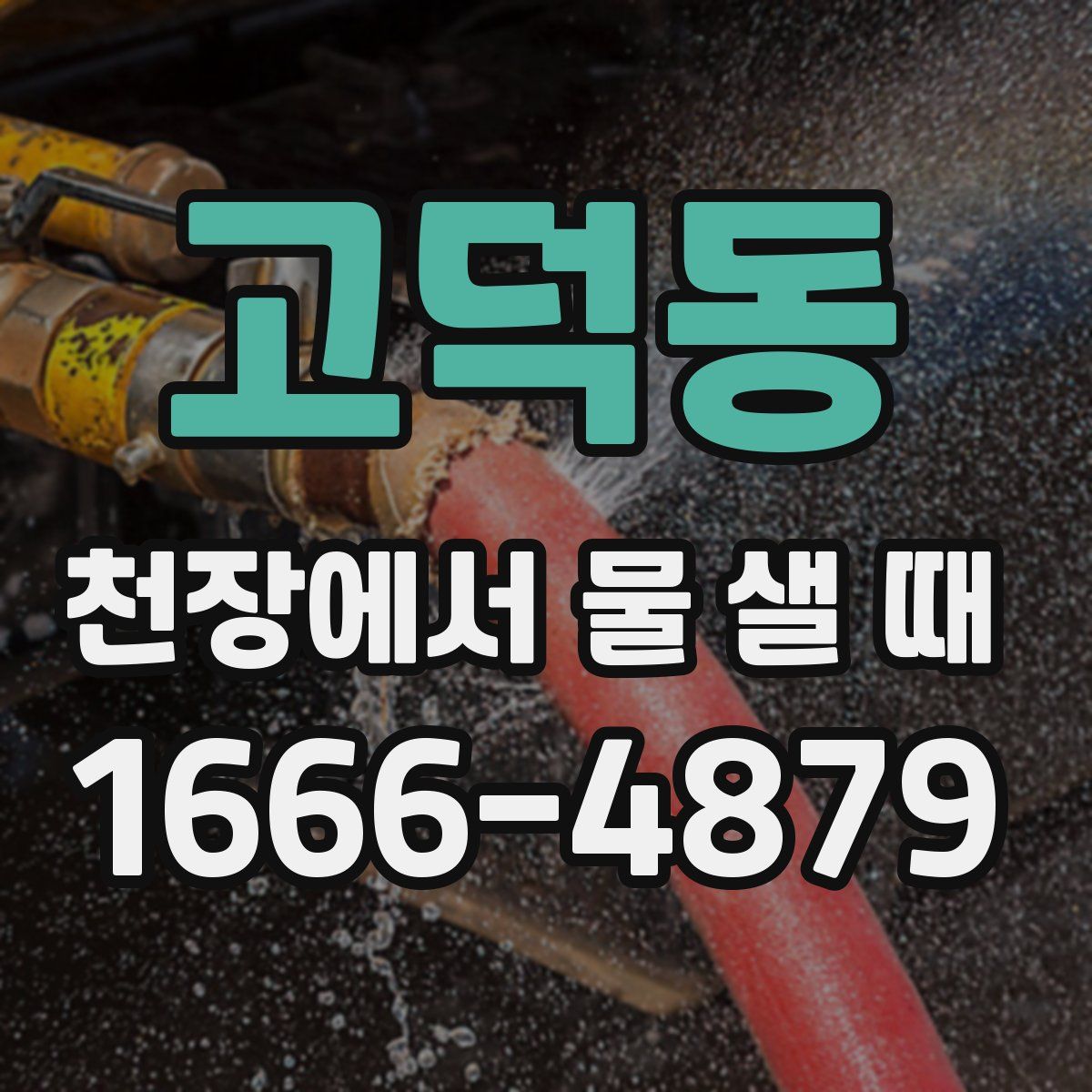 고덕동 천장에서 물 샐 때