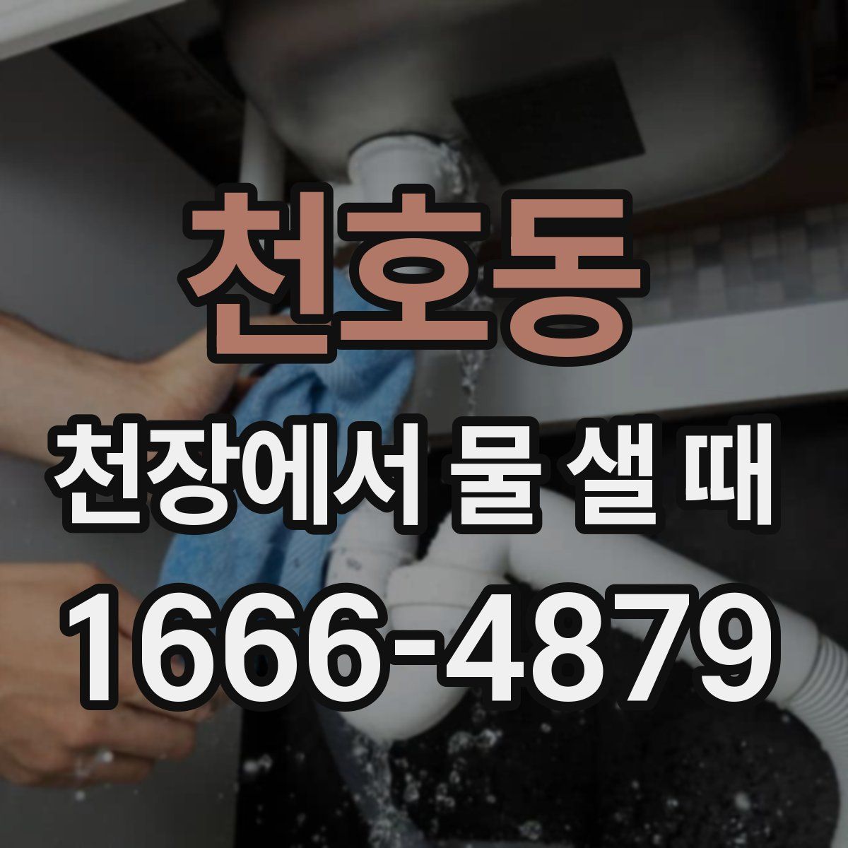 천호동 천장에서 물 샐 때