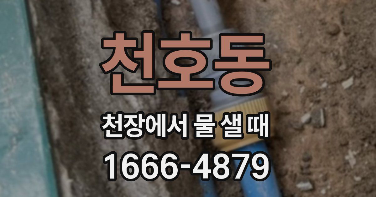 천호동 천장에서 물 샐 때