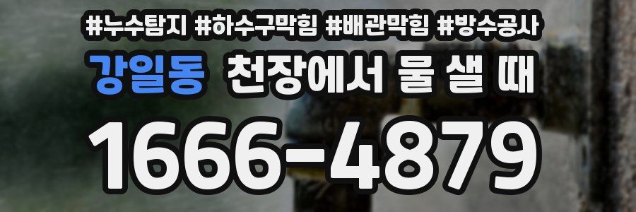 강일동 천장에서 물 샐 때