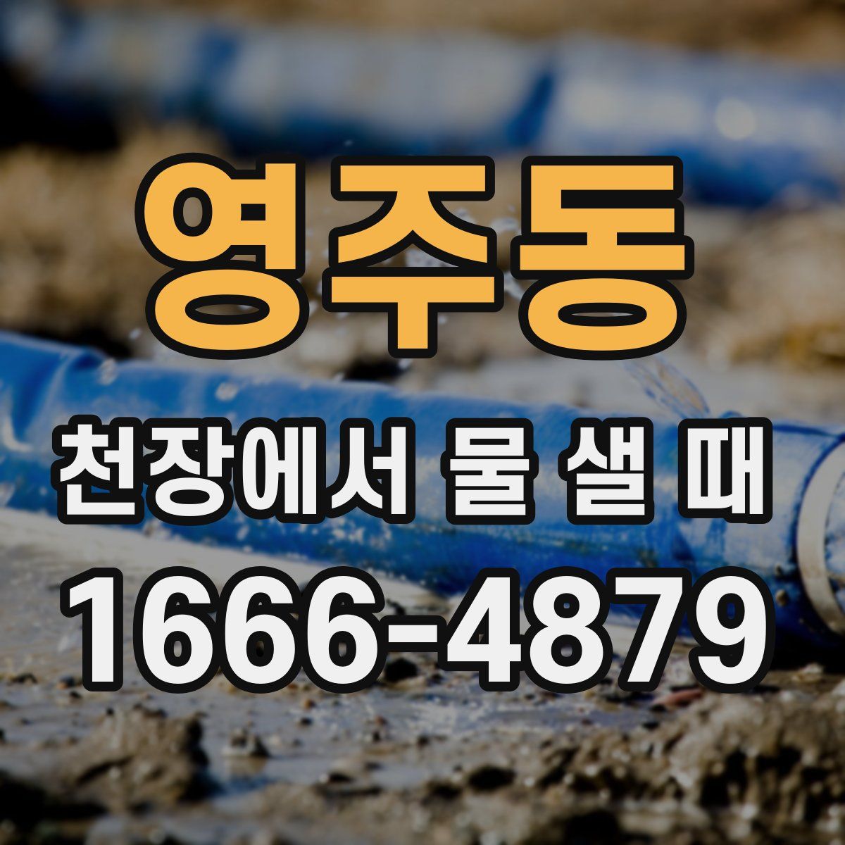 영주동 천장에서 물 샐 때