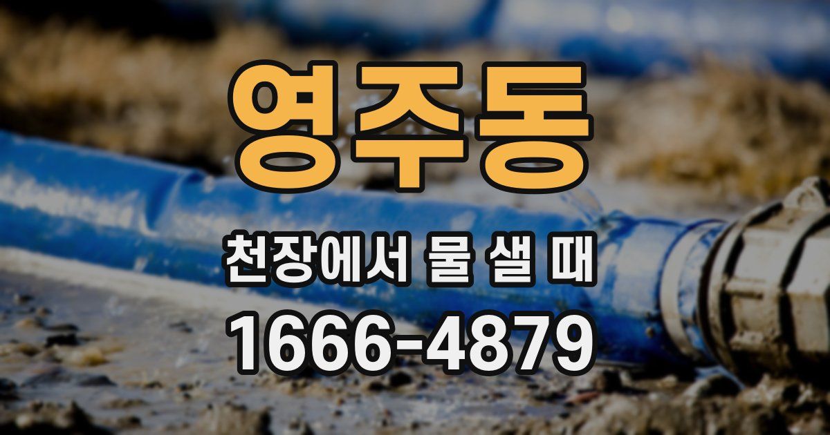 영주동 천장에서 물 샐 때