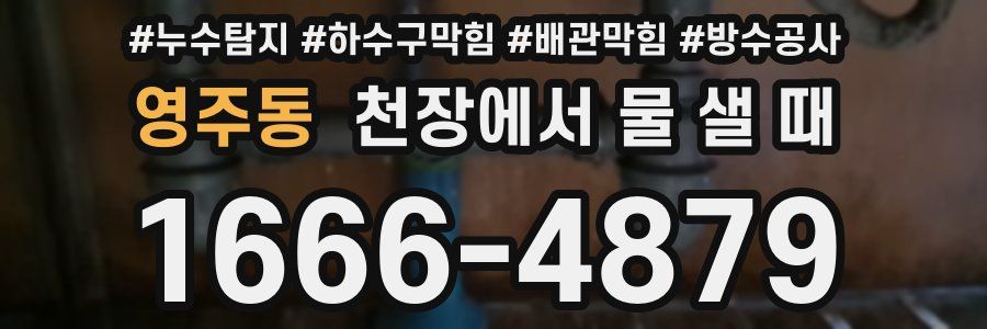 영주동 천장에서 물 샐 때