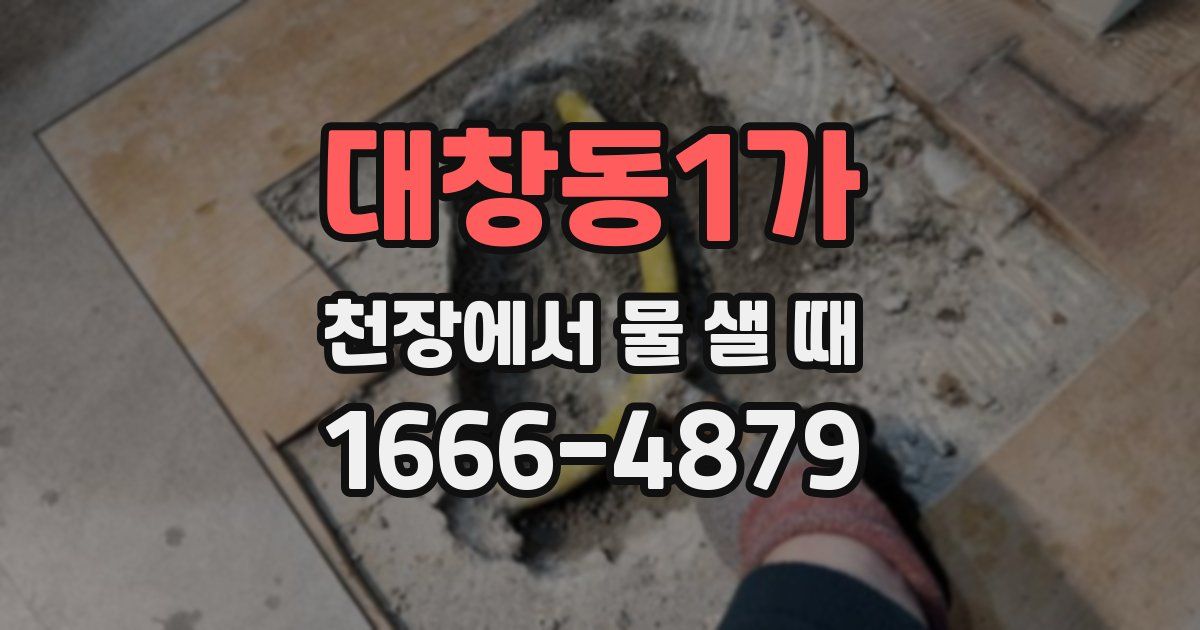 대창동1가 천장에서 물 샐 때