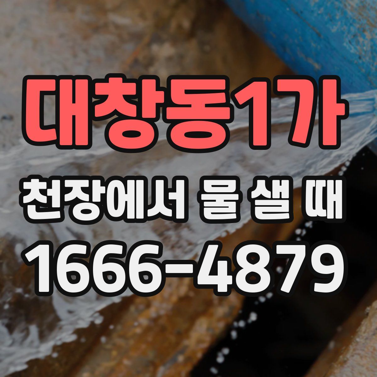 대창동1가 천장에서 물 샐 때