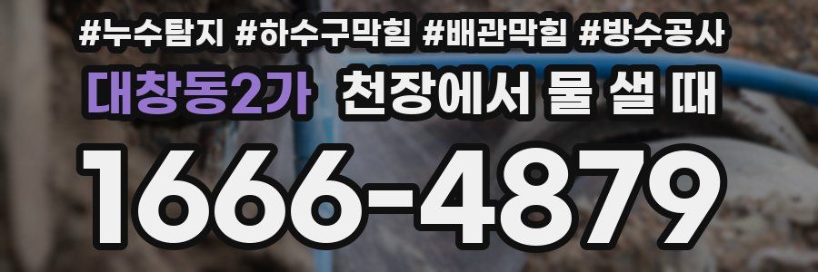 대창동2가 천장에서 물 샐 때
