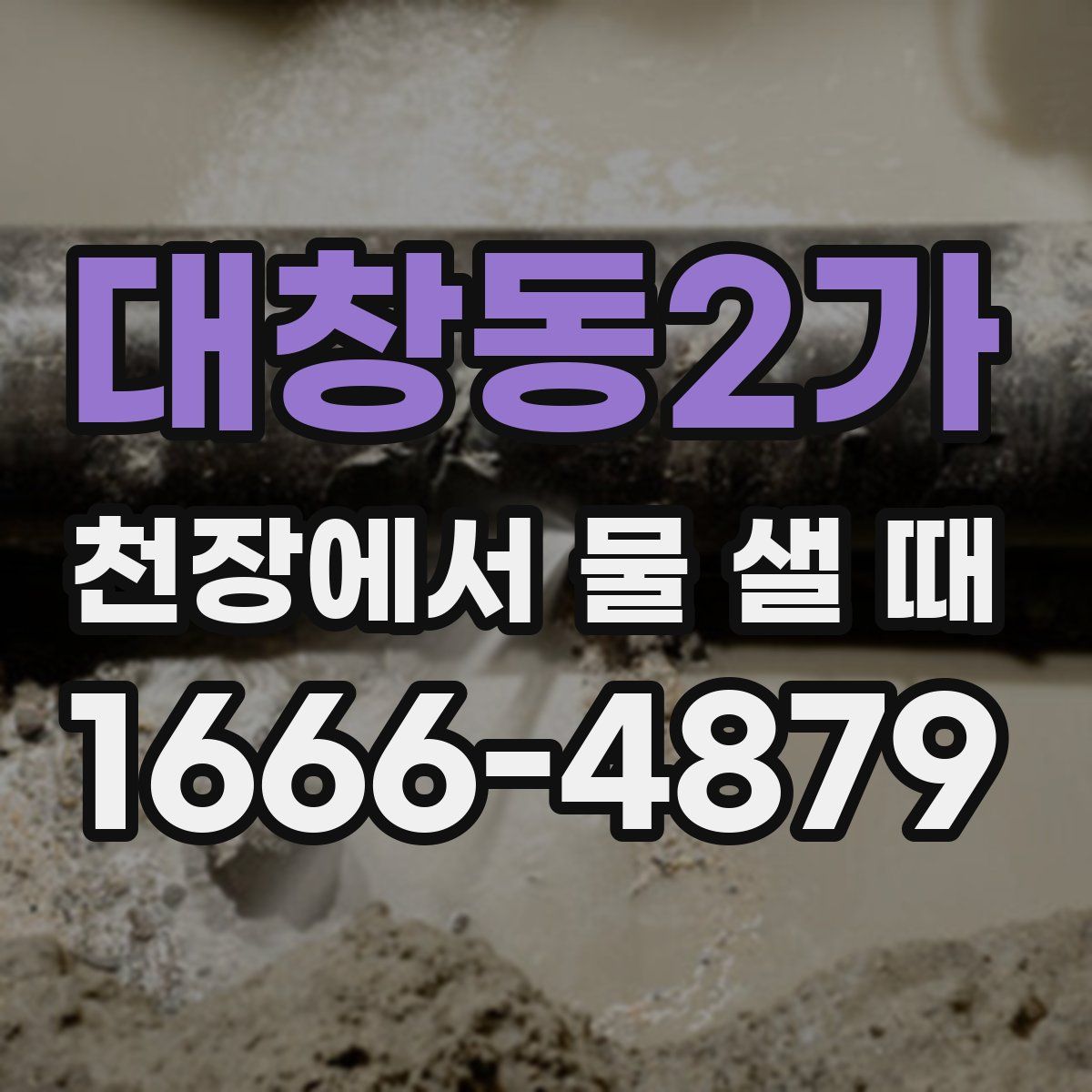 대창동2가 천장에서 물 샐 때