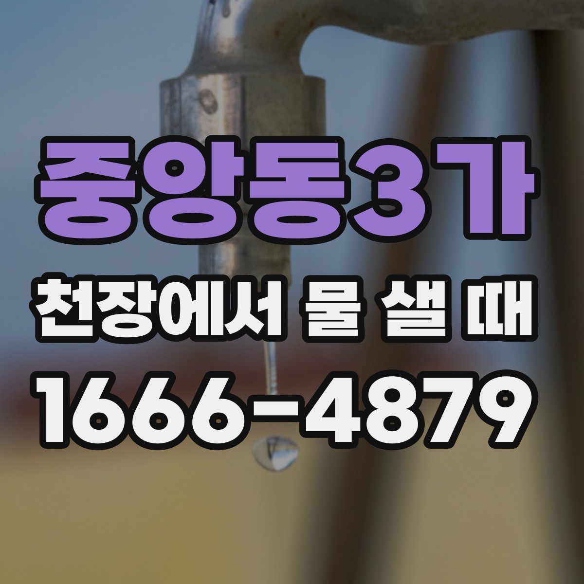 중앙동3가 천장에서 물 샐 때