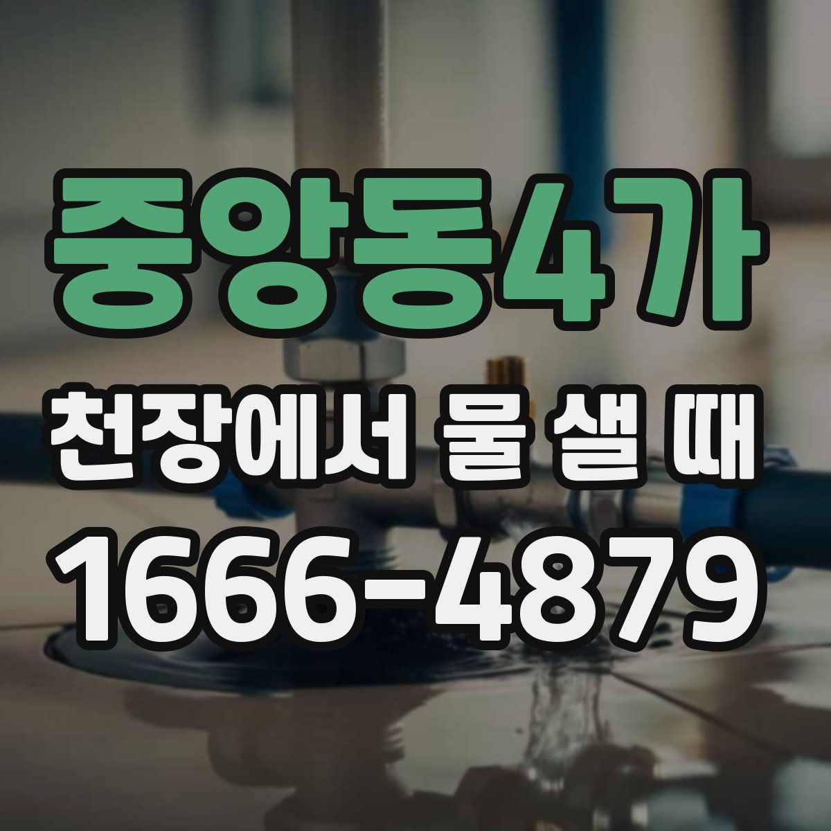 중앙동4가 천장에서 물 샐 때