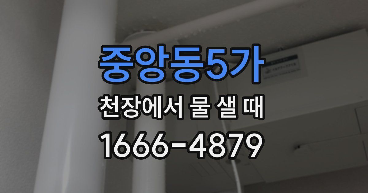 중앙동5가 천장에서 물 샐 때