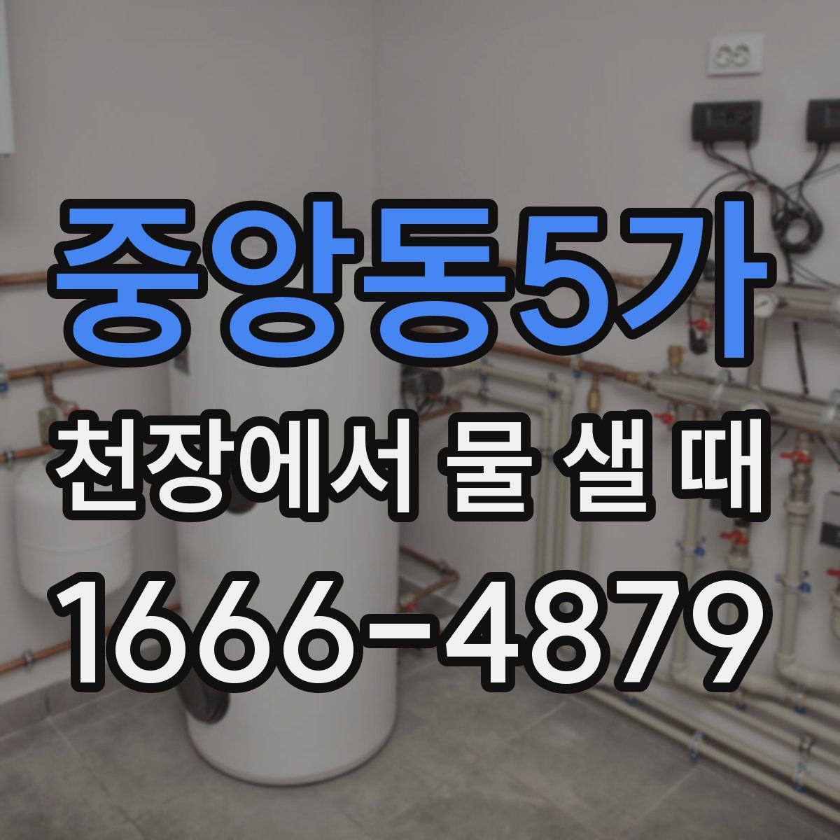 중앙동5가 천장에서 물 샐 때