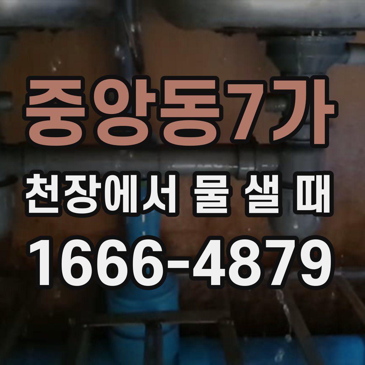중앙동7가 천장에서 물 샐 때
