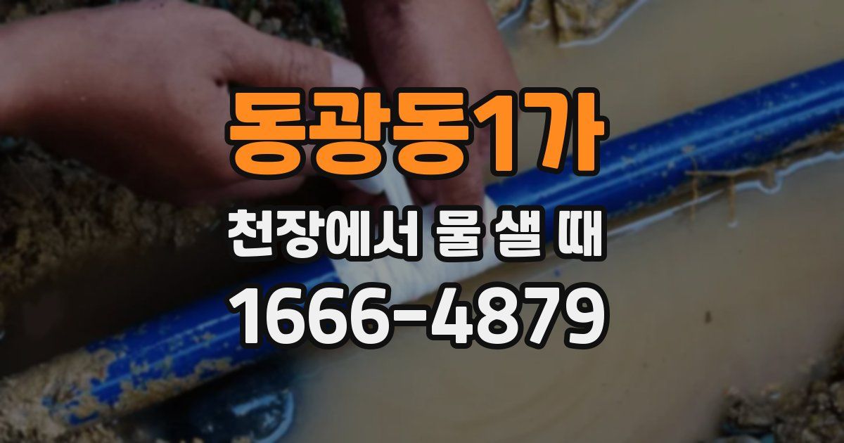 동광동1가 천장에서 물 샐 때