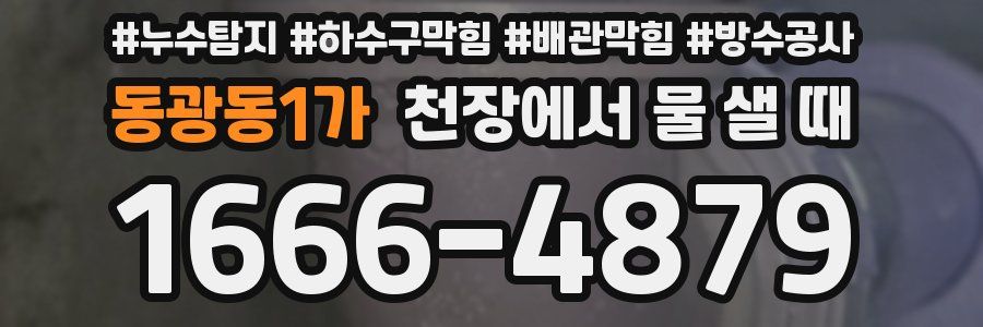 동광동1가 천장에서 물 샐 때