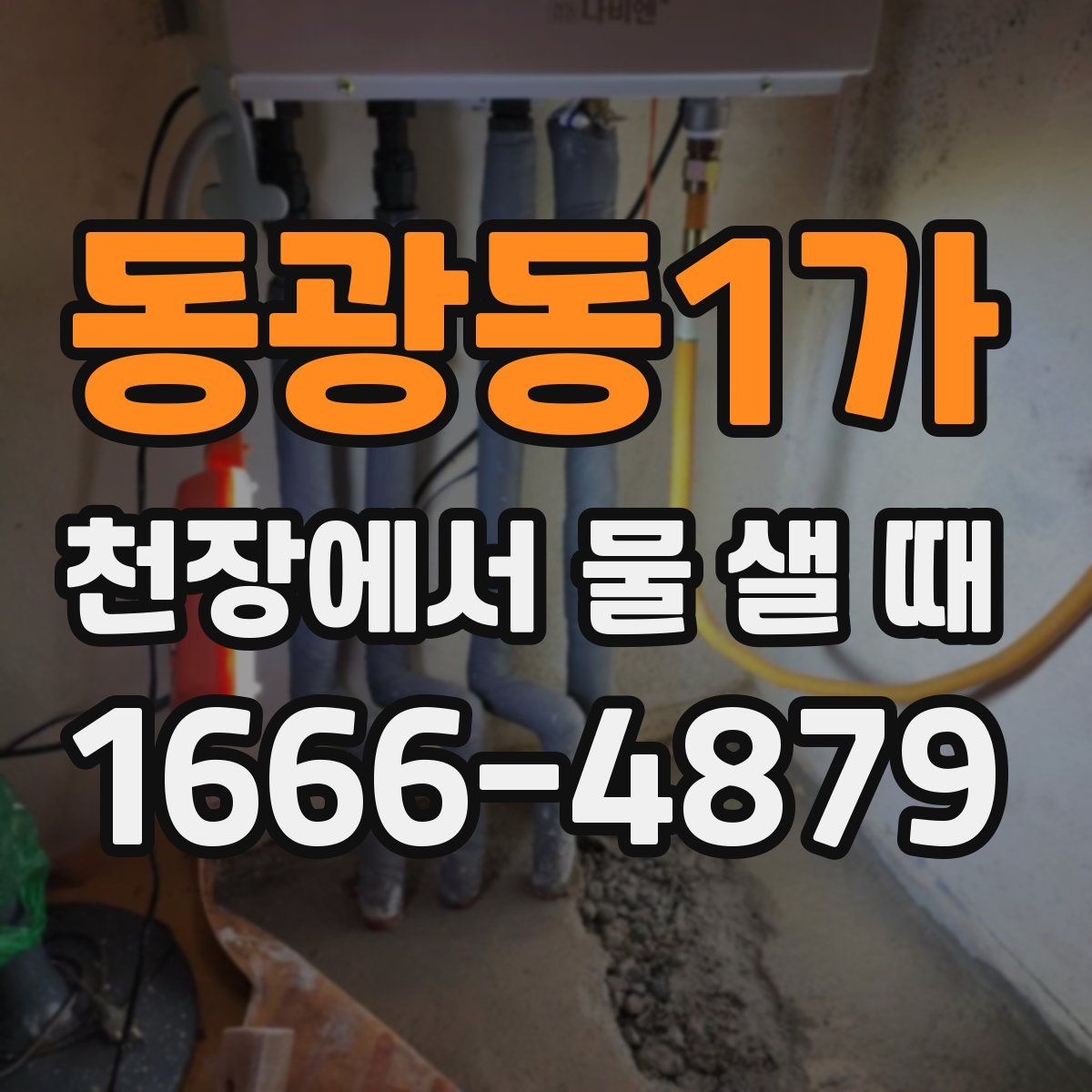 동광동1가 천장에서 물 샐 때
