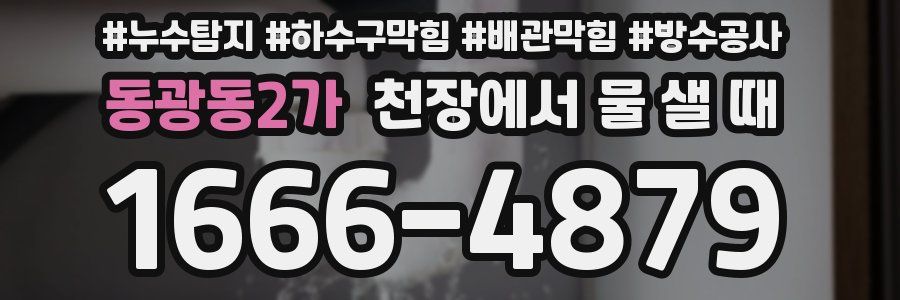 동광동2가 천장에서 물 샐 때