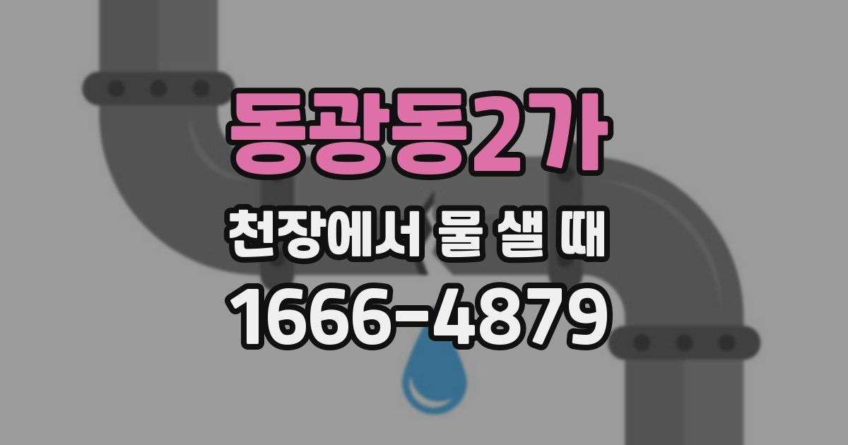 동광동2가 천장에서 물 샐 때