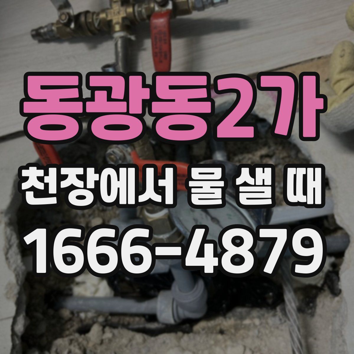 동광동2가 천장에서 물 샐 때